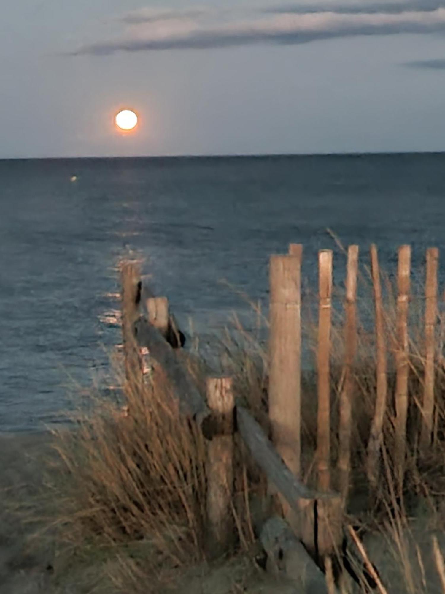 Torreilles Plage: Villa Atypique Bord De Mer Mediterranee المظهر الخارجي الصورة